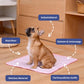 🐾 LIMITED-TIME 50% OFF! 💥 Premium Cooling Mat for Pets – Self-Cooling, Breathable, Waterproof, Washable ✨