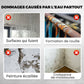 🛡️ LIMITED-TIME 50% OFF! ✨ Waterproof Polyurethane Coating – Multifunctional, Long-Lasting, Easy Apply 🧱