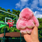 💎 BUY 1 GET 1 FREE! 💎 Handmade Soft Bunny PomPom Charms – Fluffy, Cute & Perfect for Bags, Keys & Gifts