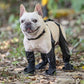 🐶 LIMITED-TIME 50% OFF! ⚡ Waterproof Boots for Pets – Anti-slip & Reflective Design 🐾