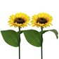 🌻 LIMITED-TIME 50% OFF! ✨ Sunflower Solar Lights – IP65 Waterproof, 14H Glow, Auto Dusk-to-Dawn 🌙