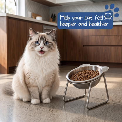⏳Time-Limited Special 🥣15° Tilted Orthopaedic Feeding Bowl