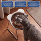 ⏳Time-Limited Special 🥣15° Tilted Orthopaedic Feeding Bowl