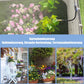 🌱 LIMITED-TIME 50% OFF! 💧 Automatic Garden Irrigation System – 360° Adjustable, Misting, Water-Saving, Complete Set ✨