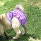 🐾   🐶Washable Pet Diapers for Female Male Dogs, Reusable Doggy Diapers, 3 Pack