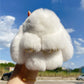 💎 BUY 1 GET 1 FREE! 💎 Handmade Soft Bunny PomPom Charms – Fluffy, Cute & Perfect for Bags, Keys & Gifts