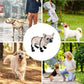 🐶 LIMITED-TIME 50% OFF! ⚡ Waterproof Boots for Pets – Anti-slip & Reflective Design 🐾