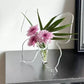 🦋 LIMITED-TIME 50% OFF! 💐 Transparent Butterfly Vase – Lightweight, Elegant, Gift-Ready ✨