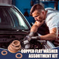 🔧 LIMITED‑TIME 50% OFF! ✨ 100/200 PCS Copper Flat Washer Assortment Kit – Corrosion‑Resistant, Sealing, Convenient ✨