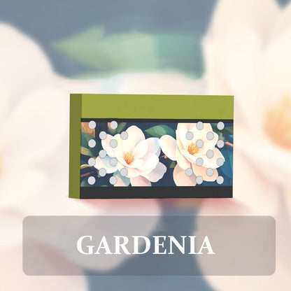 🎉 ¡Oferta de lanzamiento limitada! Ambientador para coche con fragancia sólida🌿