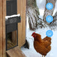 🐓 LIMITED TIME 60% OFF! ☀️ Solar Automatic Chicken Coop Door – Remote Control, Built-in Alarm, Anti-Pinch Safety 🔐