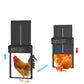 🐓 LIMITED TIME 60% OFF! ☀️ Solar Automatic Chicken Coop Door – Remote Control, Built-in Alarm, Anti-Pinch Safety 🔐