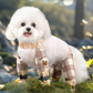 49%OFF🔥Pantalones a prueba de polvo para perros al aire libre