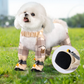 49%OFF🔥Pantalones a prueba de polvo para perros al aire libre