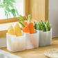 🔥¡Compre 3 y llévese 5 gratis（8 piezas）!🔥Caja de almacenamiento multifuncional para refrigerador