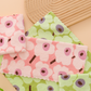 🔥 ¡50 % DE DESCUENTO EN EL PRODUCTO MÁS VENDIDO! ✨ 5 paños de cocina de franela coral: paños de limpieza superabsorbentes y de secado rápido para uso doméstico y en la cocina 🍽️🧽