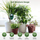 🌱 LIMITED‑TIME 50% OFF! 💦 Professional soil moisture meter for indoor & outdoor plants – Handy, Accurate, Plant‑friendly ✨