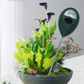 🌱 LIMITED‑TIME 50% OFF! 💦 Professional soil moisture meter for indoor & outdoor plants – Handy, Accurate, Plant‑friendly ✨