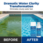 🏊‍♂️ LIMITED-TIME 50% OFF! ✨ Pool Purifying Liquid 100ml – Kills Bacteria & Algae Fast, Keeps Water Crystal Clear & Fresh 💧