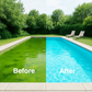 🏊‍♂️ LIMITED-TIME 50% OFF! ✨ Pool Purifying Liquid 100ml – Kills Bacteria & Algae Fast, Keeps Water Crystal Clear & Fresh 💧