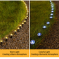 💡 LIMITED-TIME 50% OFF! ✨ Solar Garden Pathway Lights – Automatic, Weatherproof, Energy Saving 🌙