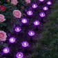 💡 LIMITED-TIME 50% OFF! ✨ Solar Garden Pathway Lights – Automatic, Weatherproof, Energy Saving 🌙