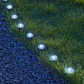 💡 LIMITED-TIME 50% OFF! ✨ Solar Garden Pathway Lights – Automatic, Weatherproof, Energy Saving 🌙