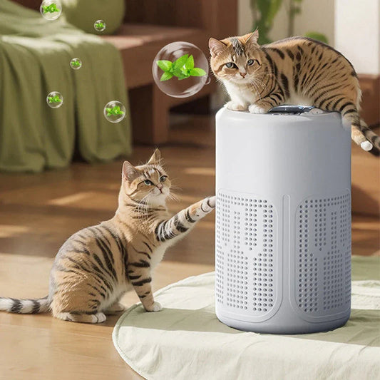 🌬️ LIMITED-TIME 50% OFF! ✨ Home Air Purifier – Multi-Layer Filter, Quiet, Energy-Efficient 🌱