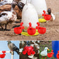 🐓 LIMITED-TIME 50% OFF! ✨ Automatic Chicken Drinker – Self-Filling, Large Cup, Easy Install for Poultry & Birds 🍶