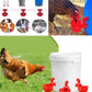 🐓 LIMITED-TIME 50% OFF! ✨ Automatic Chicken Drinker – Self-Filling, Large Cup, Easy Install for Poultry & Birds 🍶
