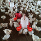 🐓 LIMITED-TIME 50% OFF! ✨ Automatic Chicken Drinker – Self-Filling, Large Cup, Easy Install for Poultry & Birds 🍶