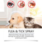 🐾 LIMITED-TIME 50% OFF! 🍃 Natural Flea & Tick Spray for Pets – Peppermint & Tea Tree Oil, Aloe Vera, 100ml ✨