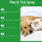 🐾 LIMITED-TIME 50% OFF! 🍃 Natural Flea & Tick Spray for Pets – Peppermint & Tea Tree Oil, Aloe Vera, 100ml ✨