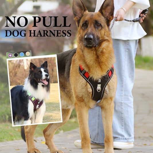🐕 LIMITED-TIME 50% OFF! ✨ No Pull Dog Harness with Leash & LED Collar – Front D-Ring, Reflective, Adjustable 🦮