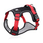 🐕 LIMITED-TIME 50% OFF! ✨ No Pull Dog Harness with Leash & LED Collar – Front D-Ring, Reflective, Adjustable 🦮