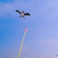 🪁 2026 Sale — Over 22,000 Sold! 🎣 Handheld Fishing Rod Kite Toy