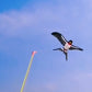 🪁 2026 Sale — Over 22,000 Sold! 🎣 Handheld Fishing Rod Kite Toy