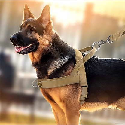 🐶 LIMITED-TIME 50% OFF! 🎒 Heavy‑Duty Tactical Dog Harness – No-Pull, Reflective, Padded With Top Handle ✨