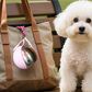 🎉 2026 Sale — Over 24,200 Sold!🐕 2‑in‑1 Portable Dog Water Bottle for Small Dogs