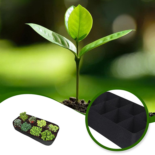 🌱 LIMITED-TIME 50% OFF! ✨ Divided Grow Bags for Plants – Breathable, Drainage, Customizable Grids 🪴