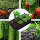 🌱 LIMITED-TIME 50% OFF! ✨ Divided Grow Bags for Plants – Breathable, Drainage, Customizable Grids 🪴