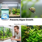 🐠 BUY 1 GET 1 FREE! ✨ Effervescent Aquarium Tablets – Crystal Clear, Odor-Free, Rapid Clarify 💧