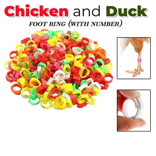 🐓 LIMITED-TIME 50% OFF! ✨ Adjustable Poultry Leg Bands – Snap-On, Pre-Numbered, 6 Sizes 🎯