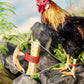 🐓 LIMITED-TIME 50% OFF! ✨ Adjustable Poultry Leg Bands – Snap-On, Pre-Numbered, 6 Sizes 🎯
