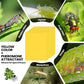 Super-Sticky Double-Sided Insect Traps (20 Pack)