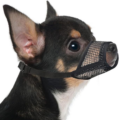 🐶 LIMITED-TIME 50% OFF! ✨ Breathable Dog Muzzle – Humane Design, Adjustable, for Small Breeds 🐾