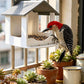 🐦 LIMITED-TIME 50% OFF! ✨ Hanging Bird Feeder – Gazebo Style, Weatherproof, Easy Fill 🌿