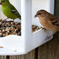 🐦 LIMITED-TIME 50% OFF! ✨ Hanging Bird Feeder – Gazebo Style, Weatherproof, Easy Fill 🌿
