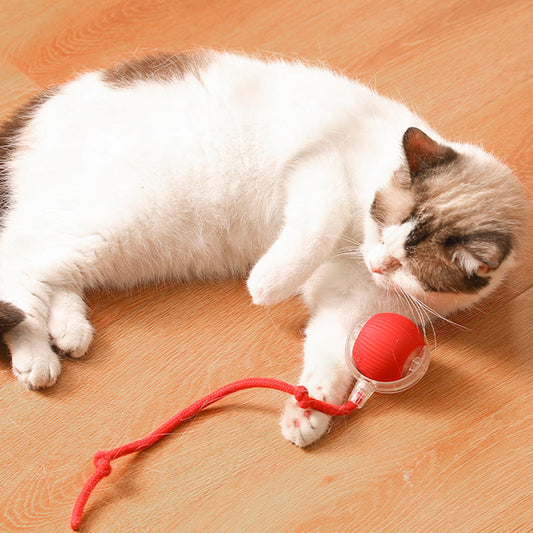 🐾 LIMITED-TIME 50% OFF! ✨ Smart Rolling Pet Ball – Auto-Move, Obstacle Avoidance, Rechargeable 🎾