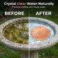 🐦 LIMITED-TIME 50% OFF! 💥 Pure Copper Bird Bath Purification Disk – 99.9% Copper, Crystal Clear Water, Sunflower Design ✨